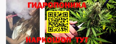 молекула духа Партизанск