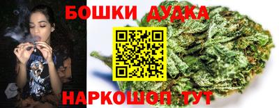 молекула духа Партизанск