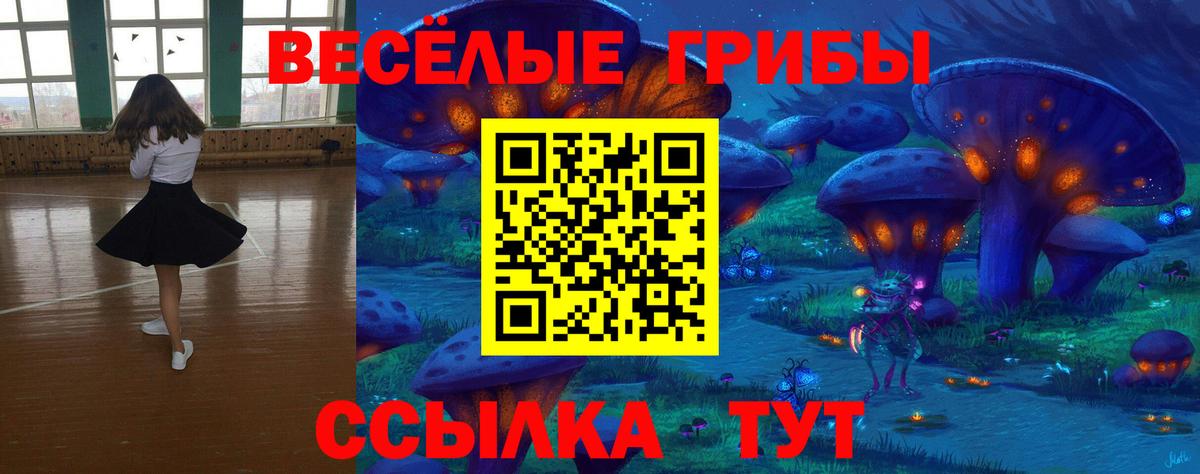 Галлюциногенные грибы ЛСД  Вход с VPN  Серов 